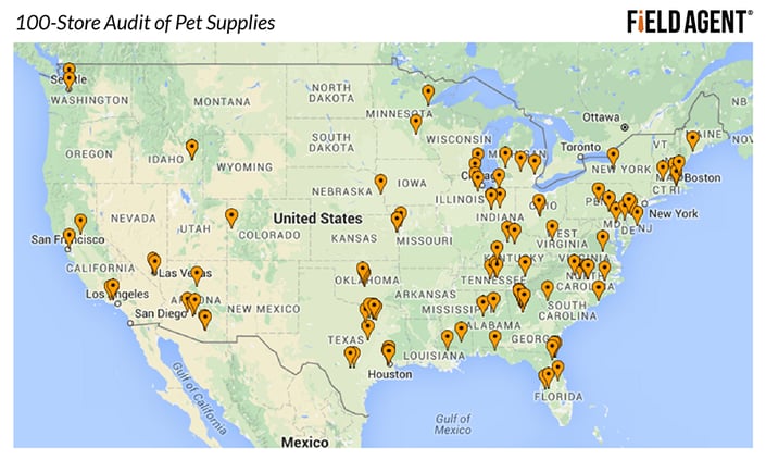 100-Store Audit of Pet Supplies