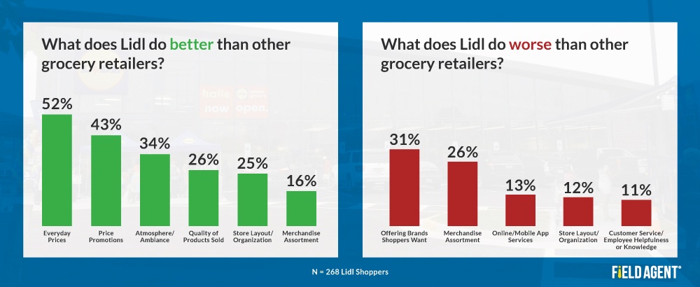 Lidl Shoppers Analysis Survey