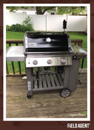 Outdoor Grilling Agent Photo