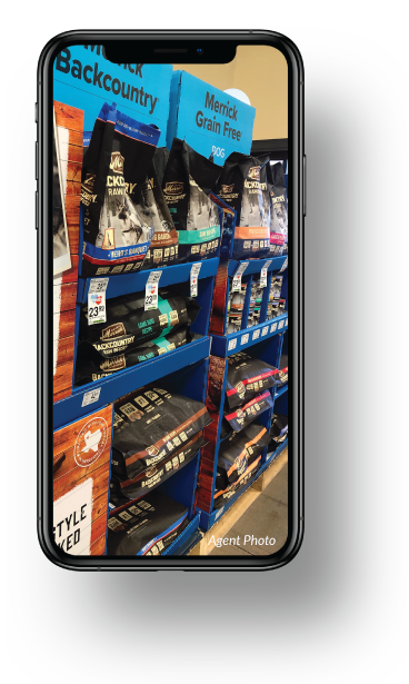top pet retailers