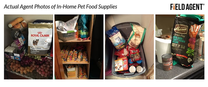 Actual Agent Photos of In-Home Pet Food Supplies