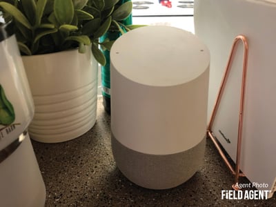 Google Home Agent Photo